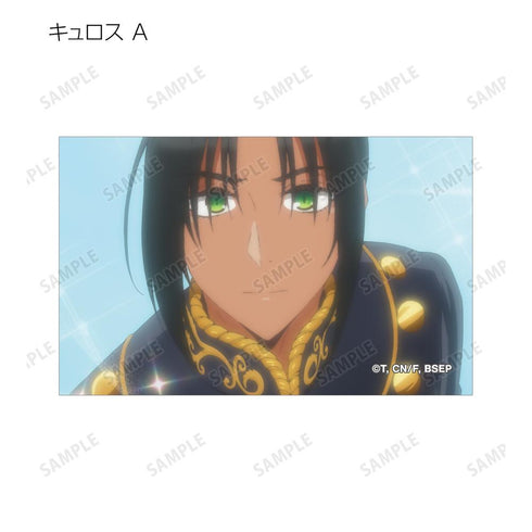 『ずたぼろ令嬢は姉の元婚約者に溺愛される』トレーディング場面写イラストカード(単位/BOX)